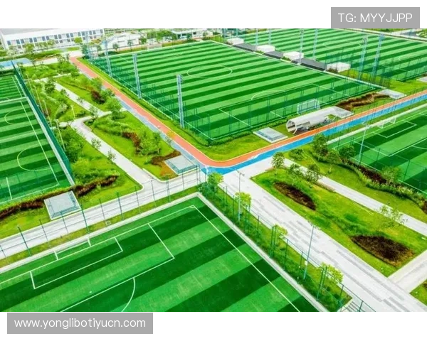 凯发体育登录手机版使用指南，随时随地畅享体育娱乐