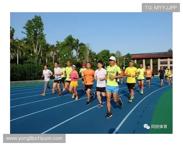 博狗体育平台全面升级，打造更安全便捷的体育博彩新体验