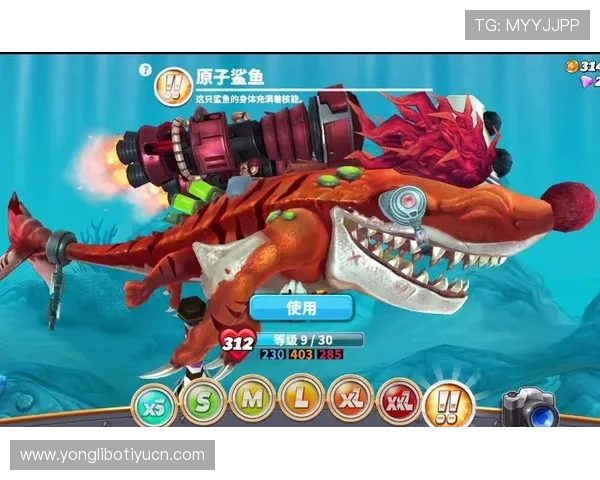 博鱼官网平台app功能介绍与使用技巧，助您轻松掌握游戏操作与娱乐玩法